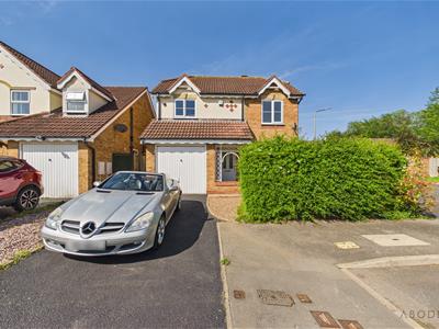 Picture 20